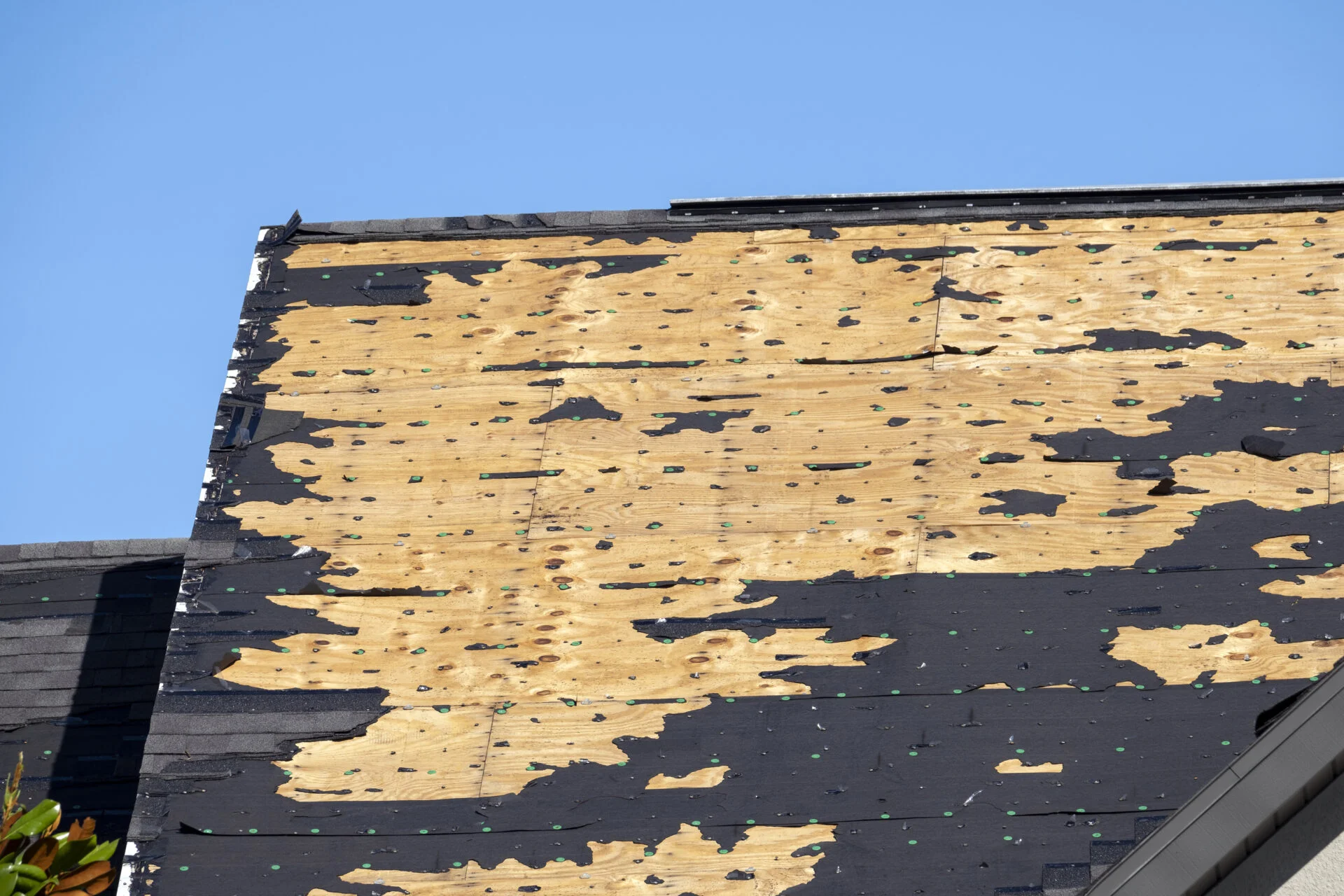 timely roof replacement